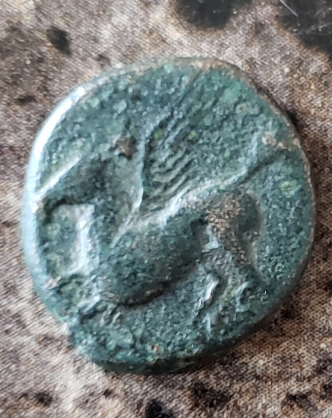 Greek-Coin-For-Id,-Pegasus?